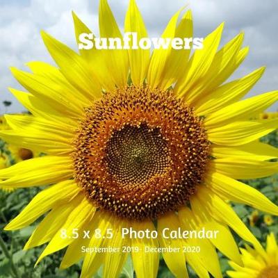 Book cover for Sunflowers 8.5 X 8.5 Calendar September 2019 -December 2020