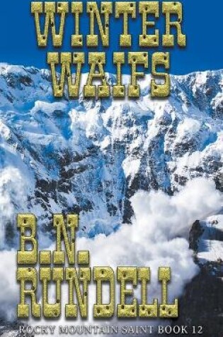 Cover of Winter Waifs