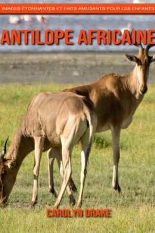 Cover of Antilope Africaine