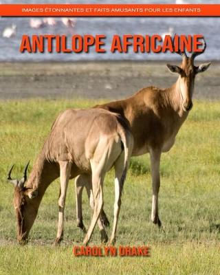 Book cover for Antilope Africaine