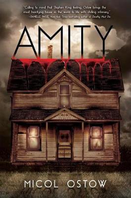 Book cover for Amity