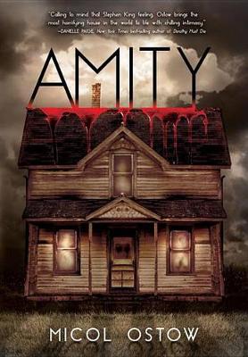 Book cover for Amity
