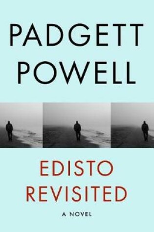 Cover of Edisto Revisited