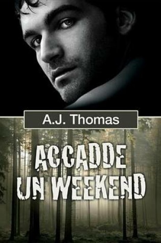 Cover of Accadde Un Weekend