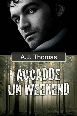 Book cover for Accadde Un Weekend