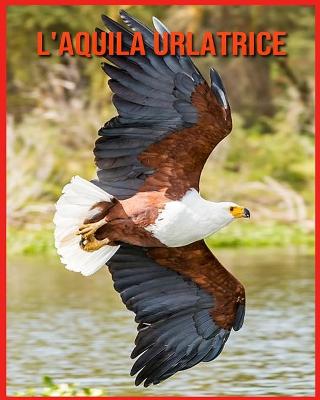 Book cover for L'aquila Urlatrice