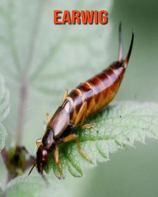 Book cover for Earwig