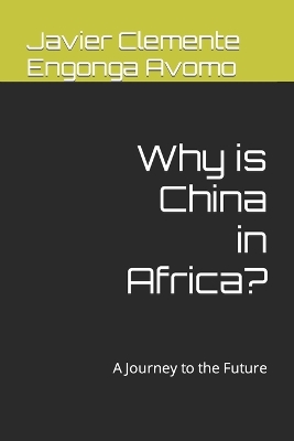 Book cover for Why is China in Africa?