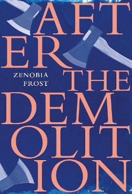 Book cover for After the Demolition