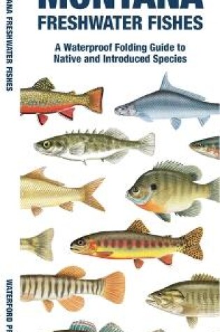 Cover of Montana Freshwater Fishes