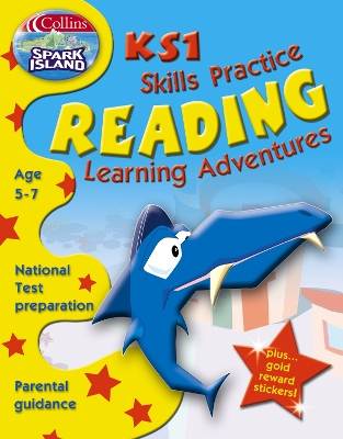 Book cover for Key Stage 1 Skills Practice Reading