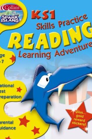 Cover of Key Stage 1 Skills Practice Reading