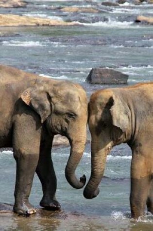 Cover of Two Elephants in a River African Animal Journal