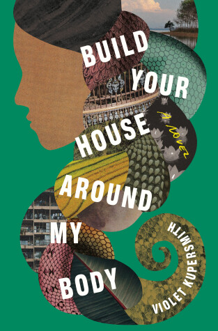 Book cover for Build Your House Around My Body