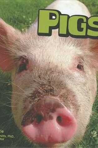 Cover of Pigs