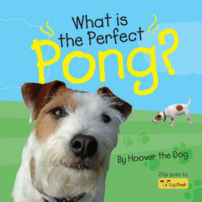 Book cover for What is the Perfect Pong?