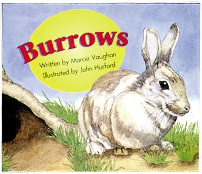 Book cover for Burrows (7)