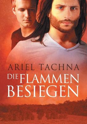 Book cover for Flammen besiegen (Translation)