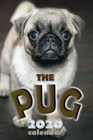 Cover of The Pug 2020 Calendar
