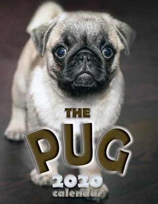 Book cover for The Pug 2020 Calendar