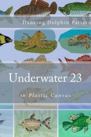 Cover of Underwater 23