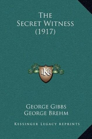 Cover of The Secret Witness (1917)