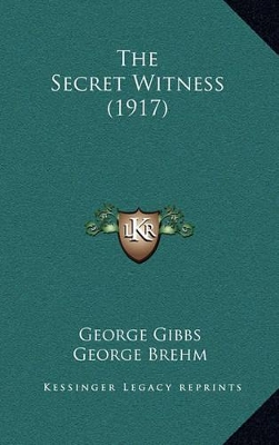 Book cover for The Secret Witness (1917)