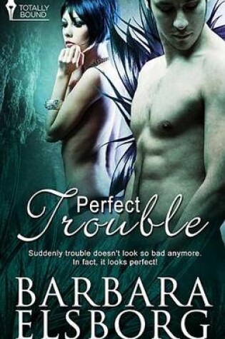 Cover of Perfect Trouble