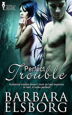 Book cover for Perfect Trouble