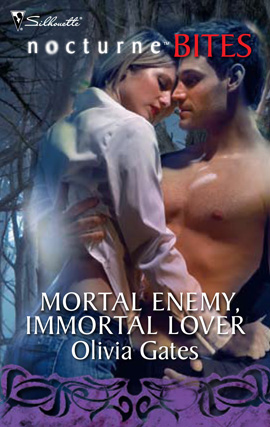 Book cover for Mortal Enemy, Immortal Lover