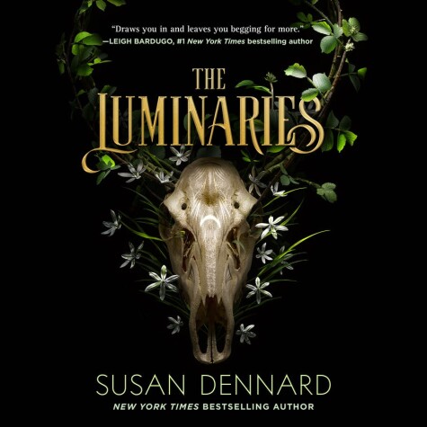 Book cover for The Luminaries