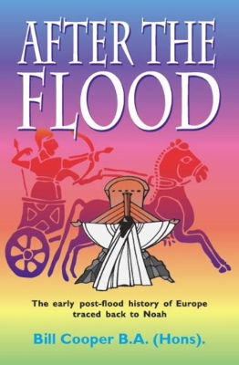 Book cover for After the Flood