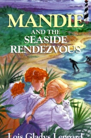 Cover of Mandie and the Seaside Rendezvous