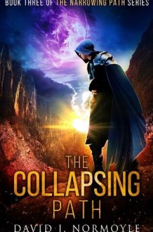 Cover of The Collapsing Path