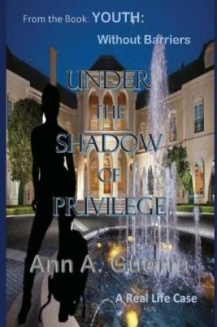 Cover of Under the Shadow of Privilege