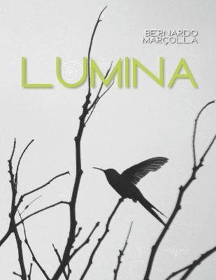 Book cover for Lumina