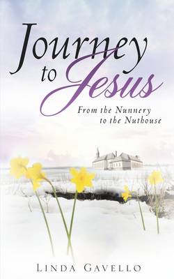 Book cover for Journey to Jesus