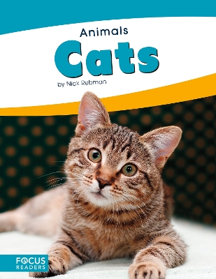 Book cover for Animals: Cats