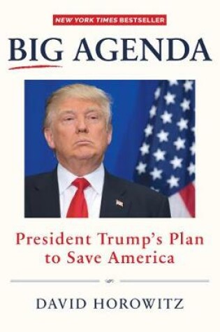 Cover of BIG AGENDA