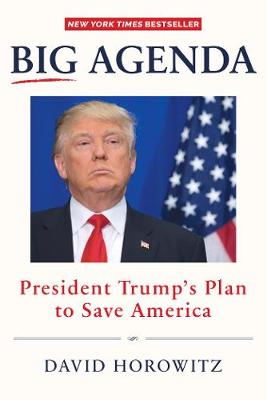 Book cover for BIG AGENDA