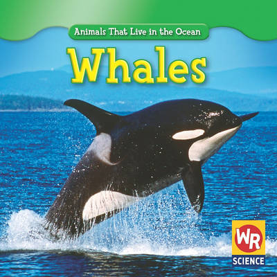 Book cover for Whales