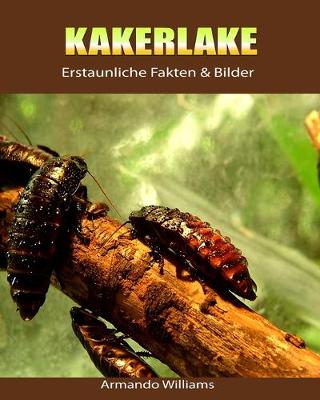 Book cover for Kakerlake