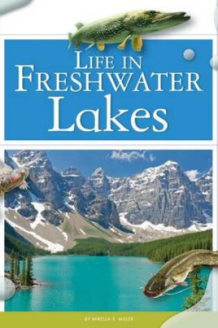 Cover of Life in Freshwater Lakes