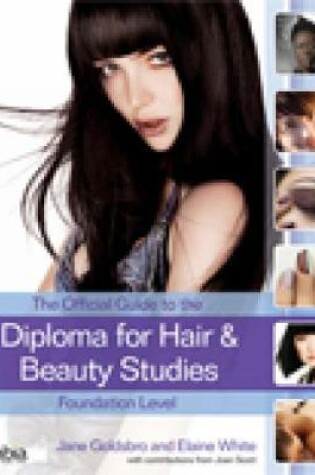 Cover of The Official Guide to the Diploma in Hair and Beauty Studies at Foundation Level