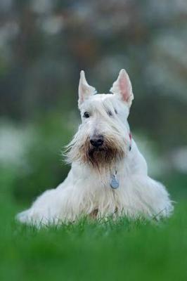 Book cover for Scottish Terrier in the Grass Dog Journal