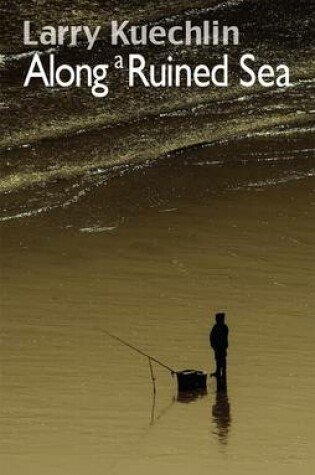 Cover of Along a Ruined Sea