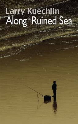 Book cover for Along a Ruined Sea