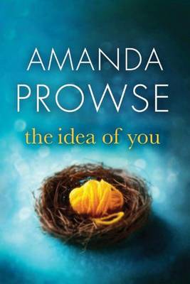 Book cover for The Idea of You