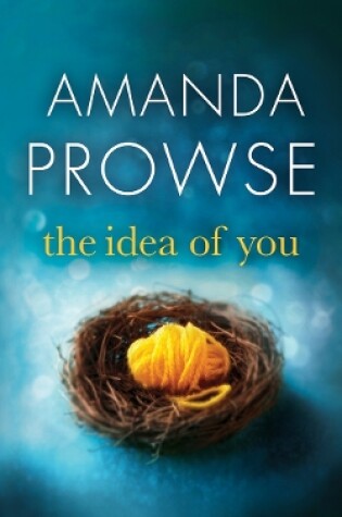 Cover of The Idea of You