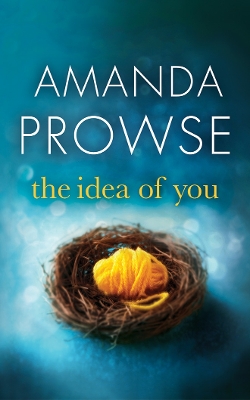 Book cover for The Idea of You